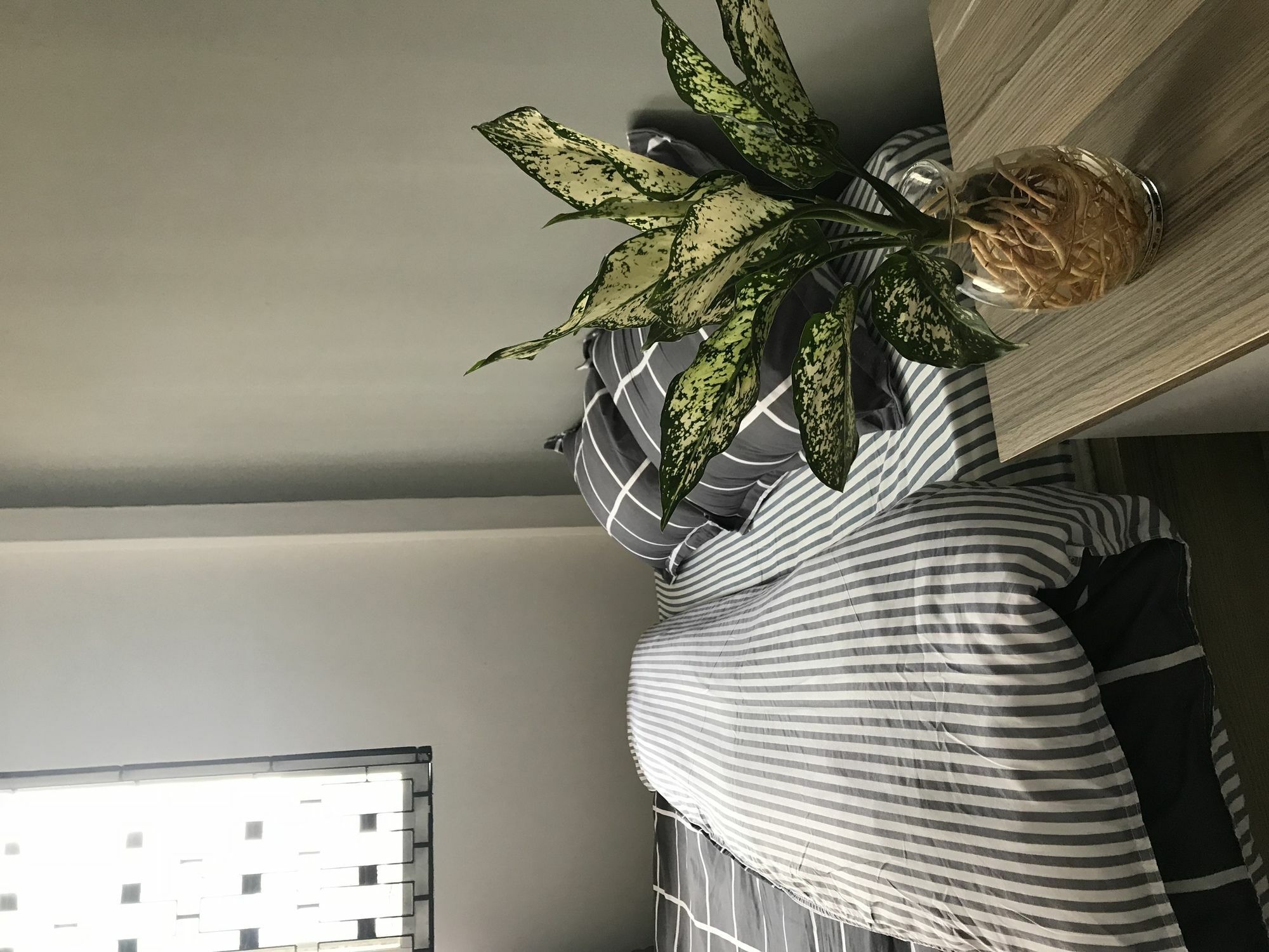 Meowies Homestay Ho Chi Minh City Bagian luar foto